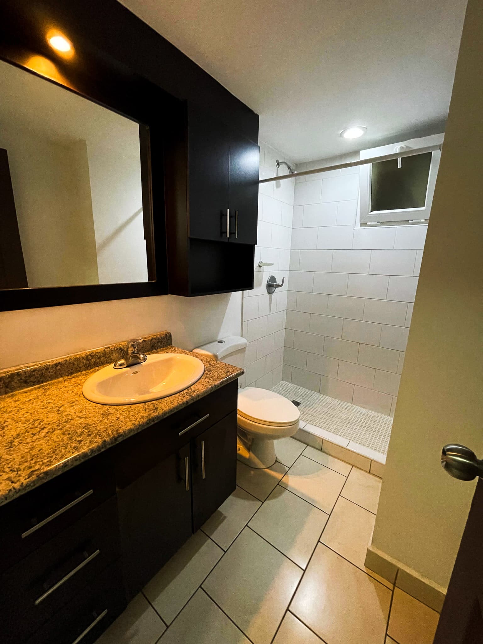 Baño con ducha, inodoro y vanity de granito